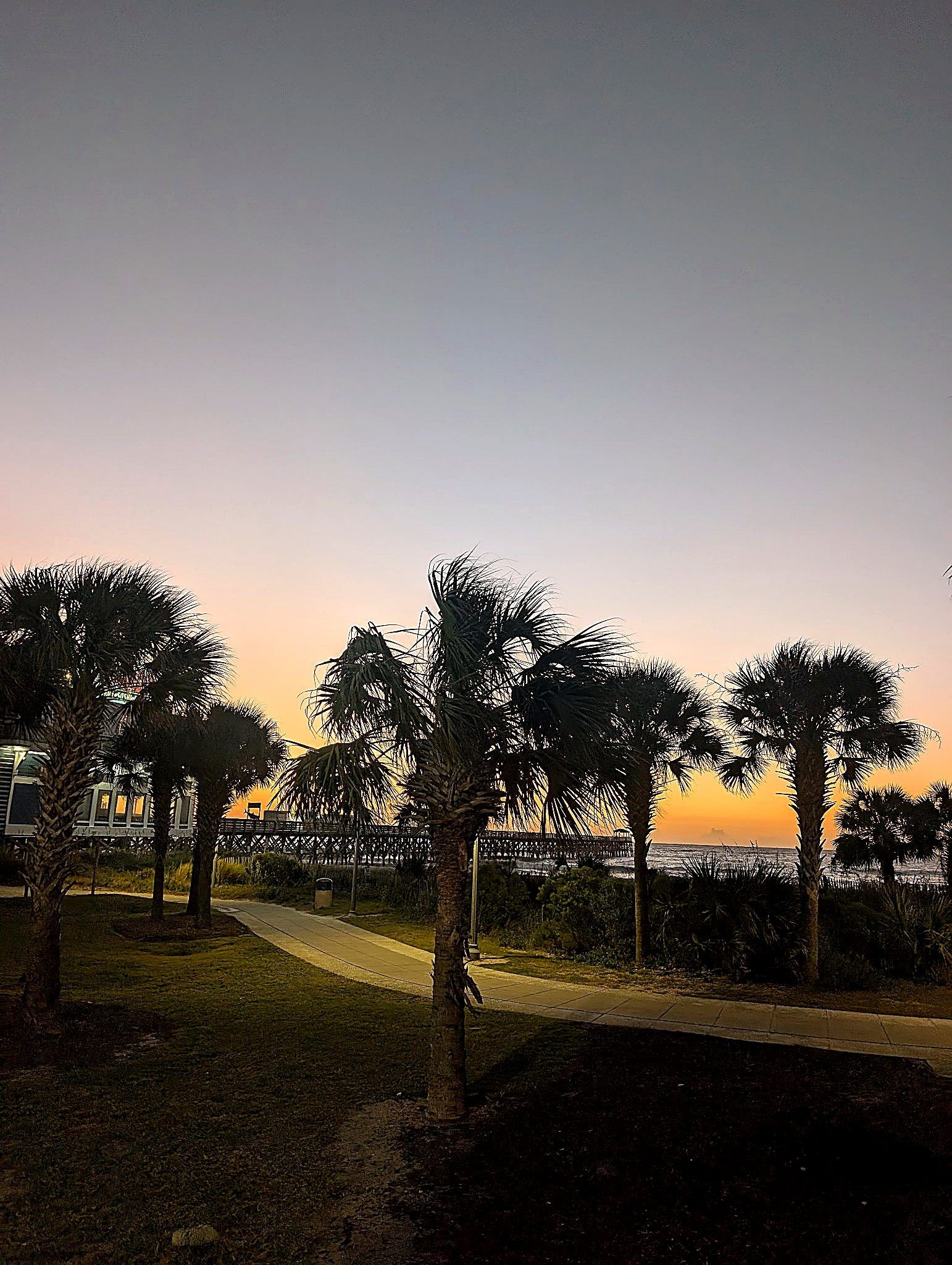 Real photo — enhanced: palms and the pier at sunset over the ocean — Myrtle Beach, SC, Oct 26, 2026