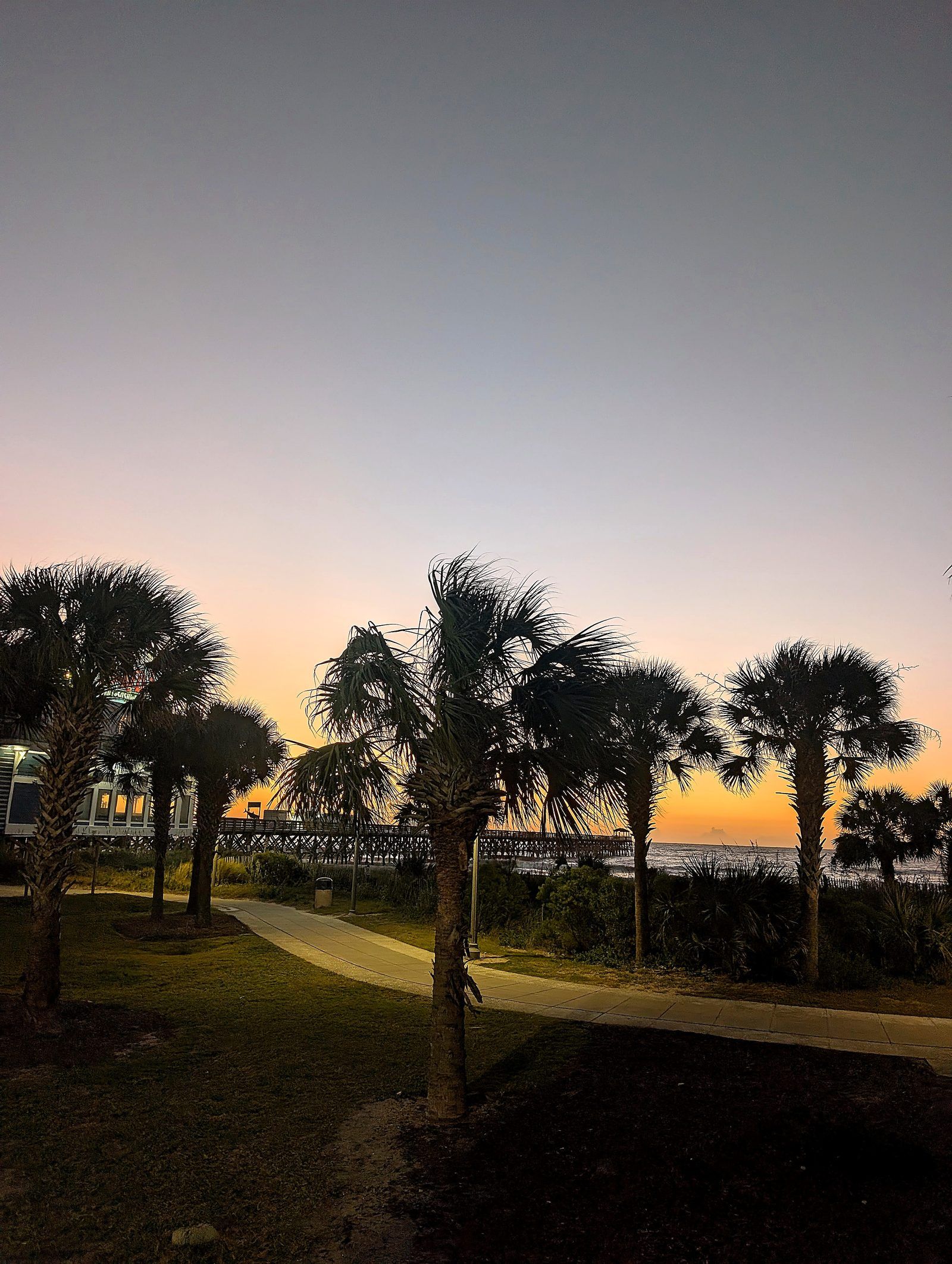 Real photo — enhanced: sunrise over the ocean at Myrtle Beach, SC — palms and the pier silhouetted against the early light, Oct 26, 2026